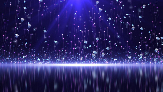 梦幻粒子拖尾花朵舞台倒影背景视频元素视频