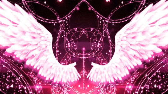 红粉唯美光效花藤感翅膀背景视频视频