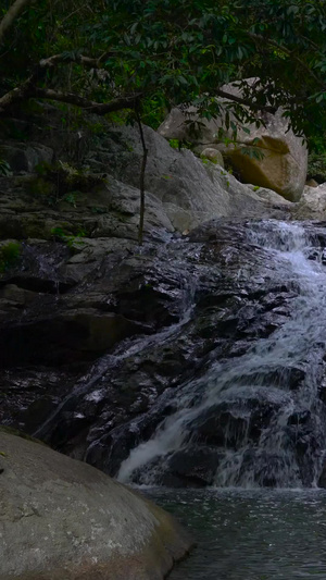 森林山间瀑布含声音合集流水声37秒视频