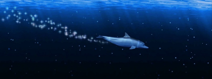 蓝色海洋海豚戒指全息背景视频视频