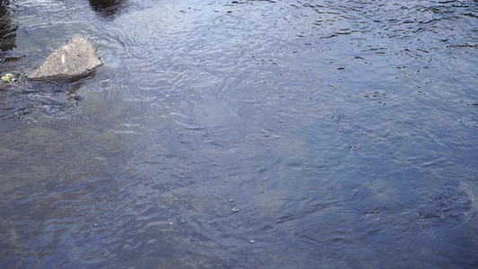 流水小河清澈水流升格视频视频