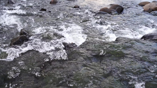 流水小河清澈水流升格视频视频