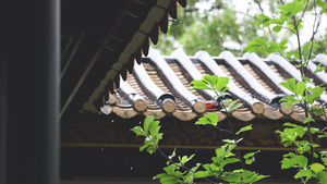 夏季下雨天的屋檐雨水水滴21秒视频