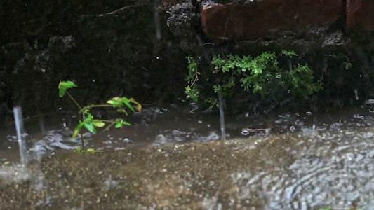 下雨天升格雨水怕打地面流出屋檐空镜视频视频