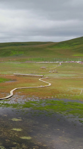 甘南藏族自治州碌曲县草原湿地公园航拍视频旅游目的地视频