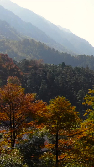 航拍安徽九华山风景区山脉中的村落视频旅游目的地75秒视频