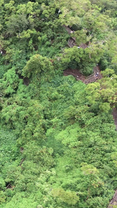 航拍海口火山地质公园视频素材雷琼地质公园视频