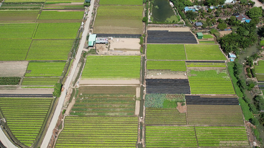 农业基地航拍视频