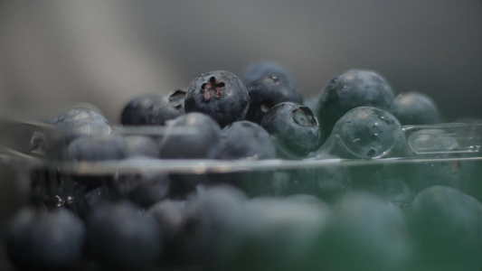 水果蓝莓实拍视频素材视频