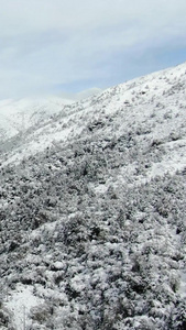 航拍川西高原群山下雪雪景视频自然风光视频