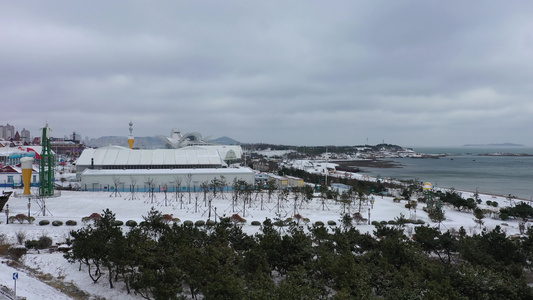 冬天青岛西海岸新区雪景视频