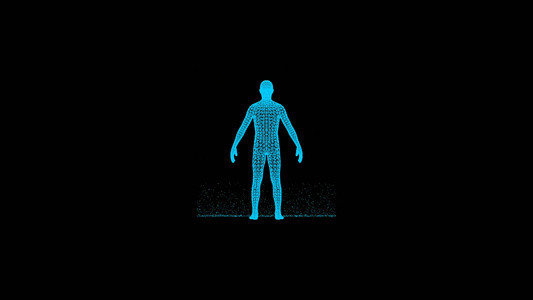 三维人体扫描视频