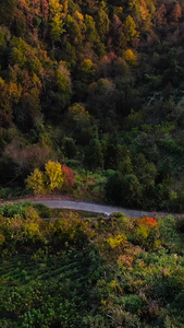 航拍安徽皖南山脉群山中的秋色视频自然风光视频