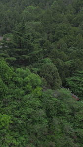 5A景区龙门石窟景点香山寺航拍视频旅游景点视频