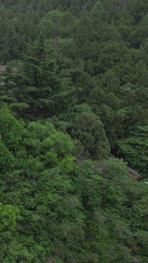 5A景区龙门石窟景点香山寺航拍视频旅游景点41秒视频