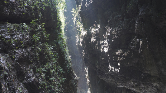 国家5A级旅游景区重庆黑山谷渝黔大裂谷视频