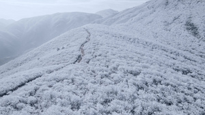 4K航拍天目山脉龙王山雾凇雪景风光16秒视频