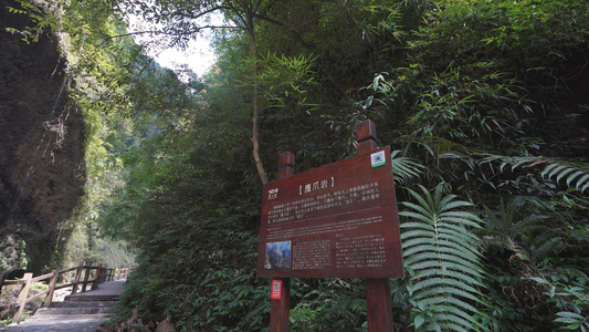 国家5A级旅游景区重庆黑山谷鹰爪岩视频