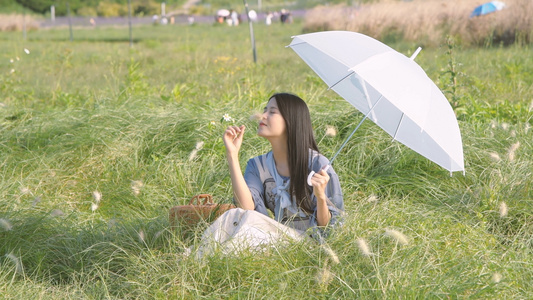 4K草地上的少女视频