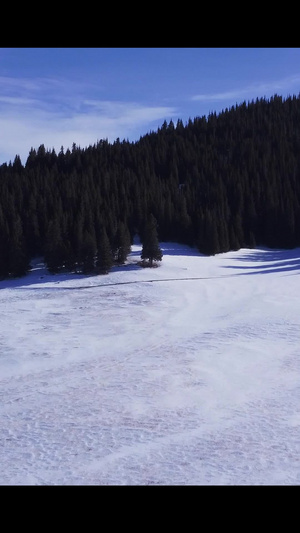 航拍雪山松树森林电影感71秒视频