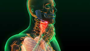 3D人体医疗咽喉炎15秒视频