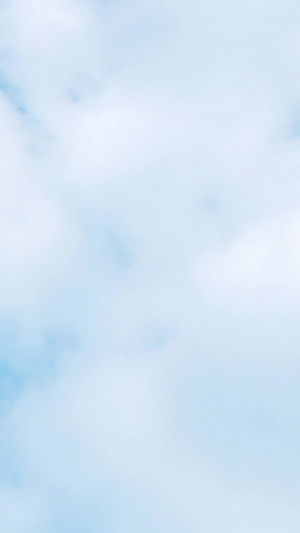 蓝天白云飞机飞过国际民航日14秒视频