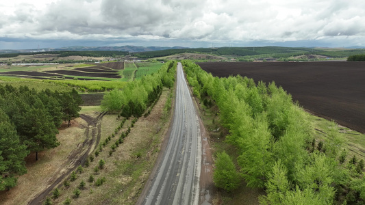 林间耕地公路上行驶的汽车视频