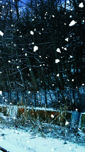 唯美的铁路雪景背景视频素材北海道雪景30秒视频