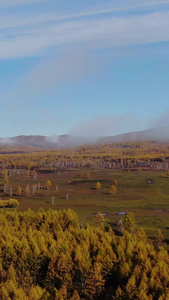 航拍晨雾包围的阿尔山原始森林小镇大自然视频
