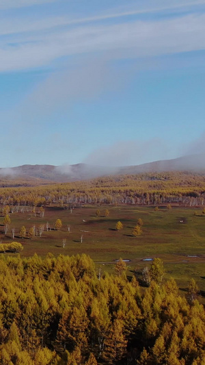 航拍晨雾包围的阿尔山原始森林小镇大自然40秒视频