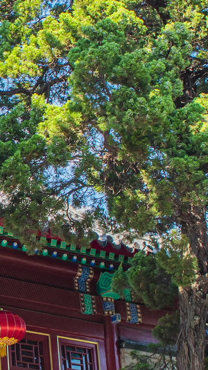 高清青岛湛山寺三圣殿延时青岛旅游9秒视频