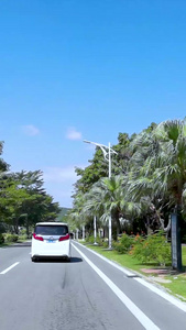 行车视角拍摄海南椰林大道交通视频素材第一视角视频