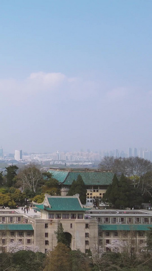 航拍武汉大学樱花季樱花大道素材64秒视频