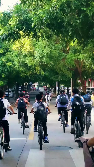 乡镇中学放学下课一群学生骑着自行车愉快玩耍 夕阳下29秒视频