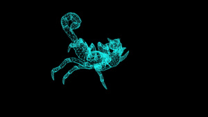 4k铁丝框架动画以攻击姿势的森林蝎子17秒视频