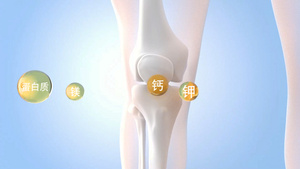 3d人体关节元素补充动画8秒视频