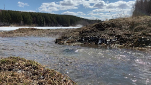 春天小溪水流湍急地流入运河13秒视频