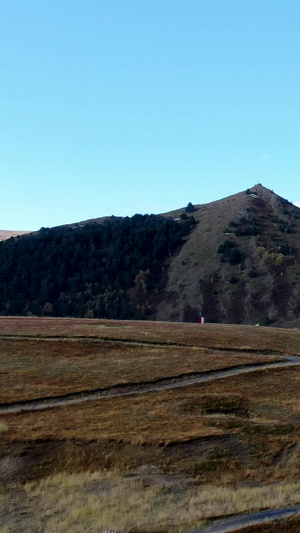 航拍四川藏传佛教寺庙塔公寺视频旅游目的地65秒视频