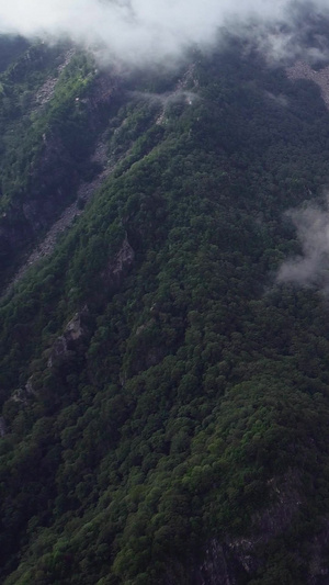 高清航拍凤凰山森林公园穿云4A景点22秒视频