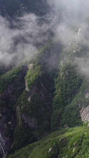 高清航拍凤凰山森林公园穿云定襄县凤凰山景区22秒视频