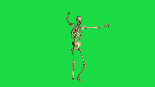绿幕骨骼视频