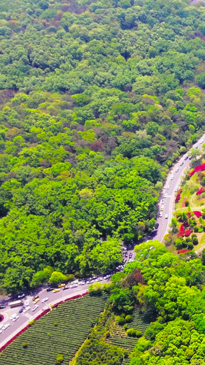 航拍南京中山陵景区美龄宫旅游南京旅游37秒视频