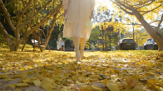 4K秋天的银杏叶与少女视频