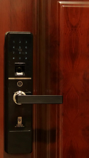 密码锁指纹锁开门防盗门电子锁21秒视频