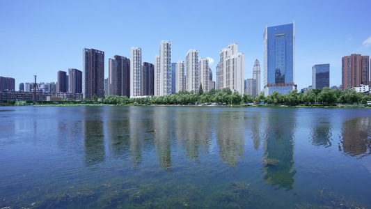 武汉武昌区内沙湖公园风景视频