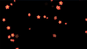 4K粉色小花漂浮粒子动画元素带通道20秒视频