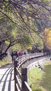 航拍青海孟达天池景区旅游景点视频