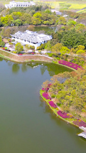 鲍家花园湖泊5A景区环绕航拍棠樾牌坊视频