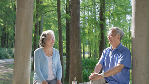 老年夫妻在公园里休息品茶聊天86秒视频