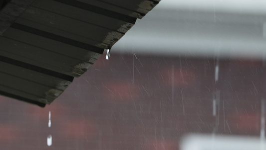 下雨4K实拍慢镜头升格视频